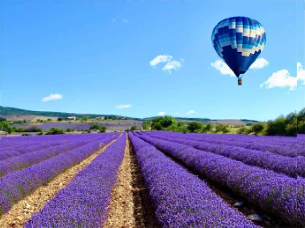 Montgolfière en Provence